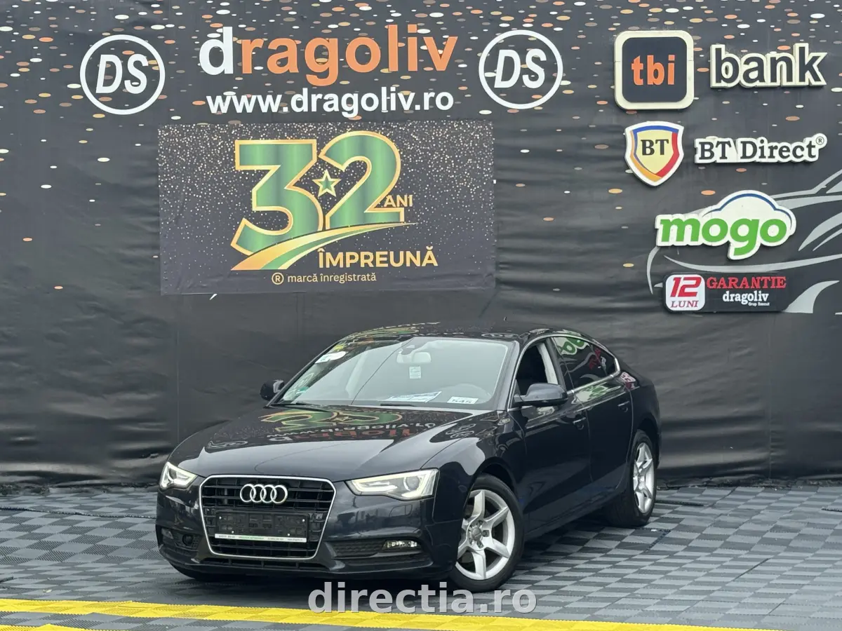 Poza principală