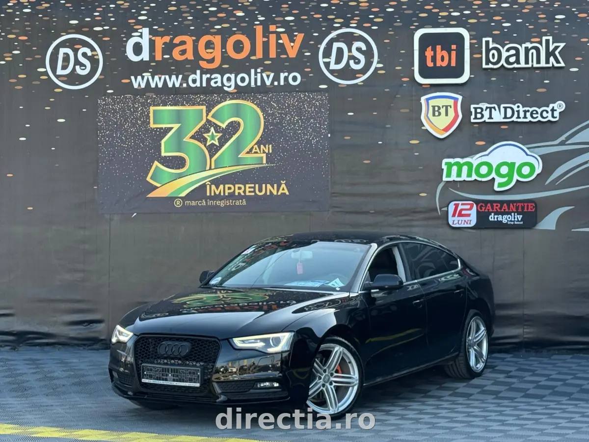Poza principală