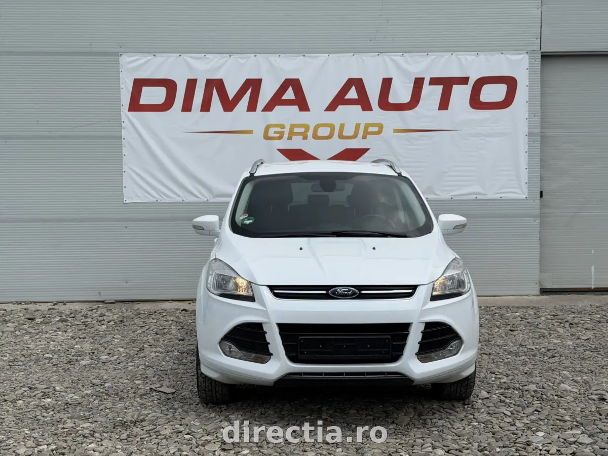 Poza principală
