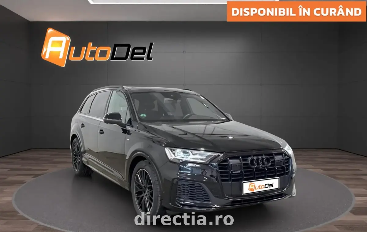 Poza principală