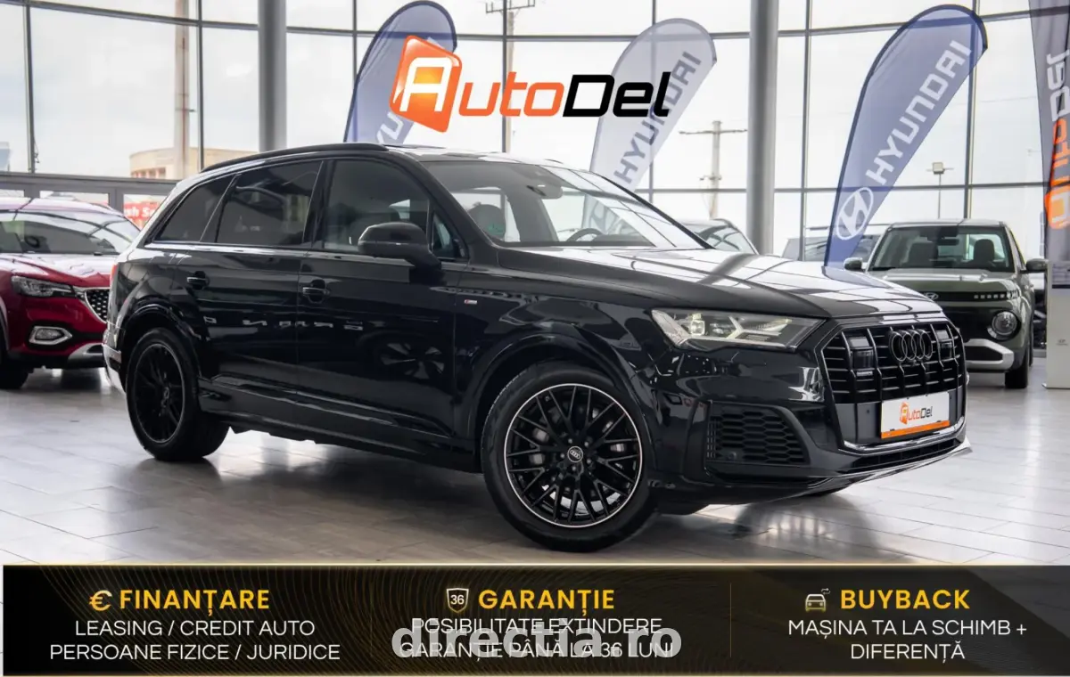 Poza principală