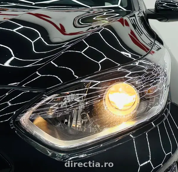 Poza anunț 10