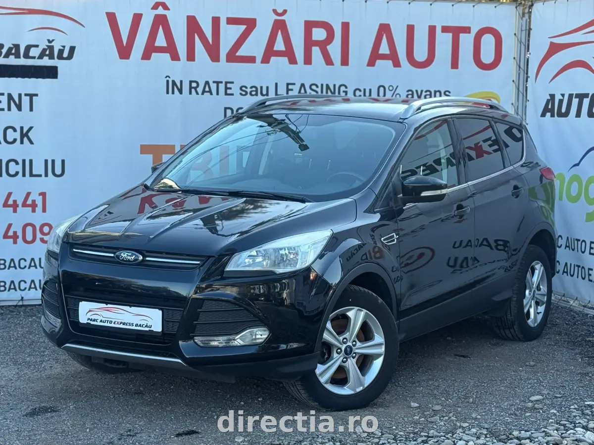 Poza principală