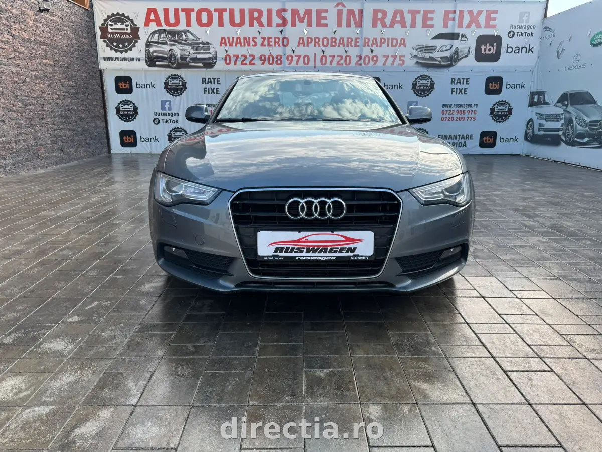 Poza principală