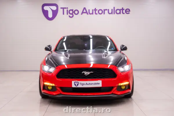 Poza anunț 6
