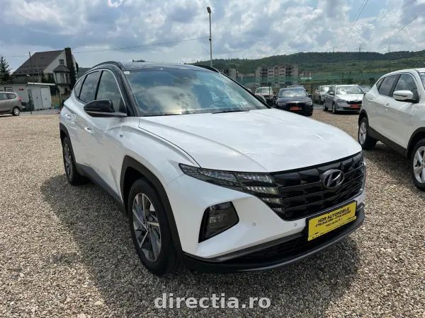 Poza anunț 1