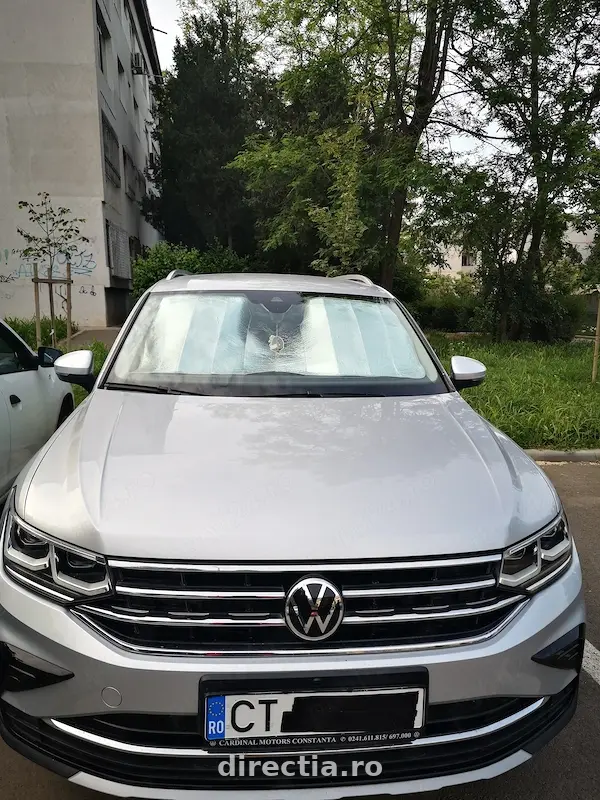 Poza principală