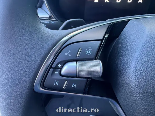 Poza anunț 13