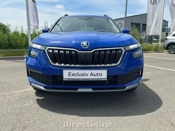 Poza anunț 2