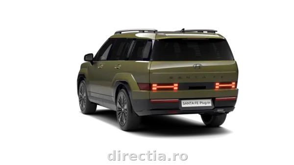 Poza anunț 13