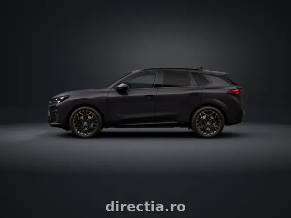 Poza anunț 2