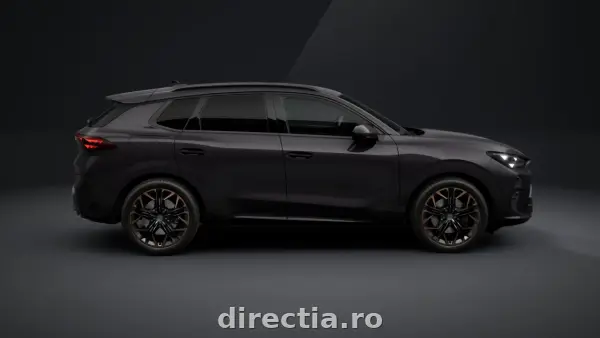 Poza anunț 4