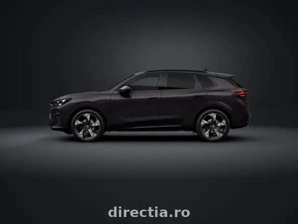 Poza anunț 2