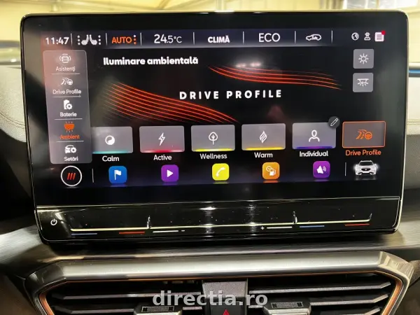 Poza anunț 29
