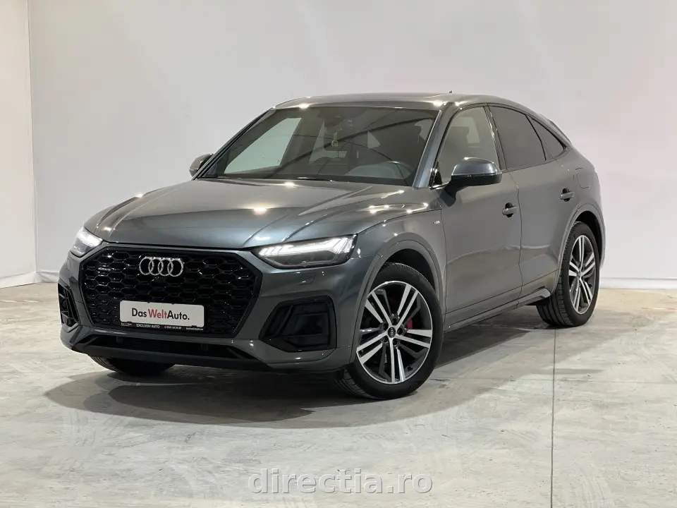 Poza principală