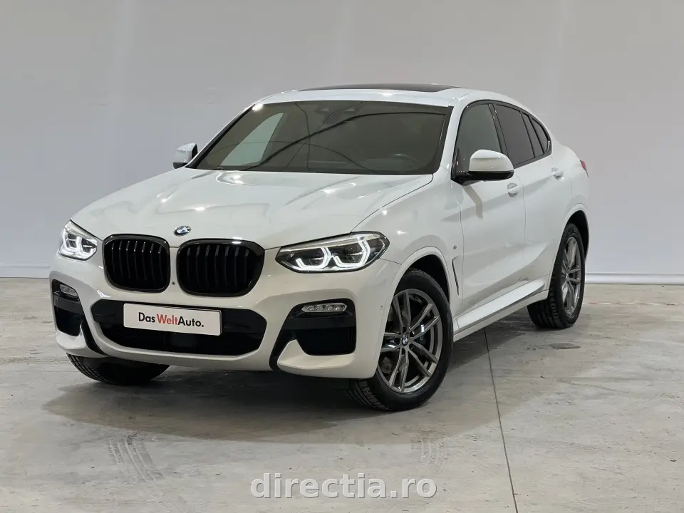 Poza principală
