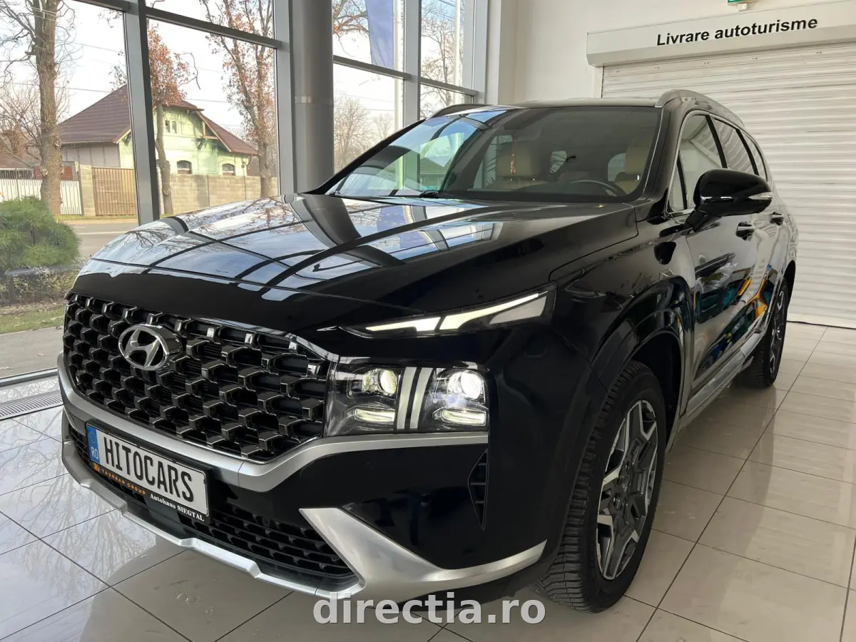 Poza principală