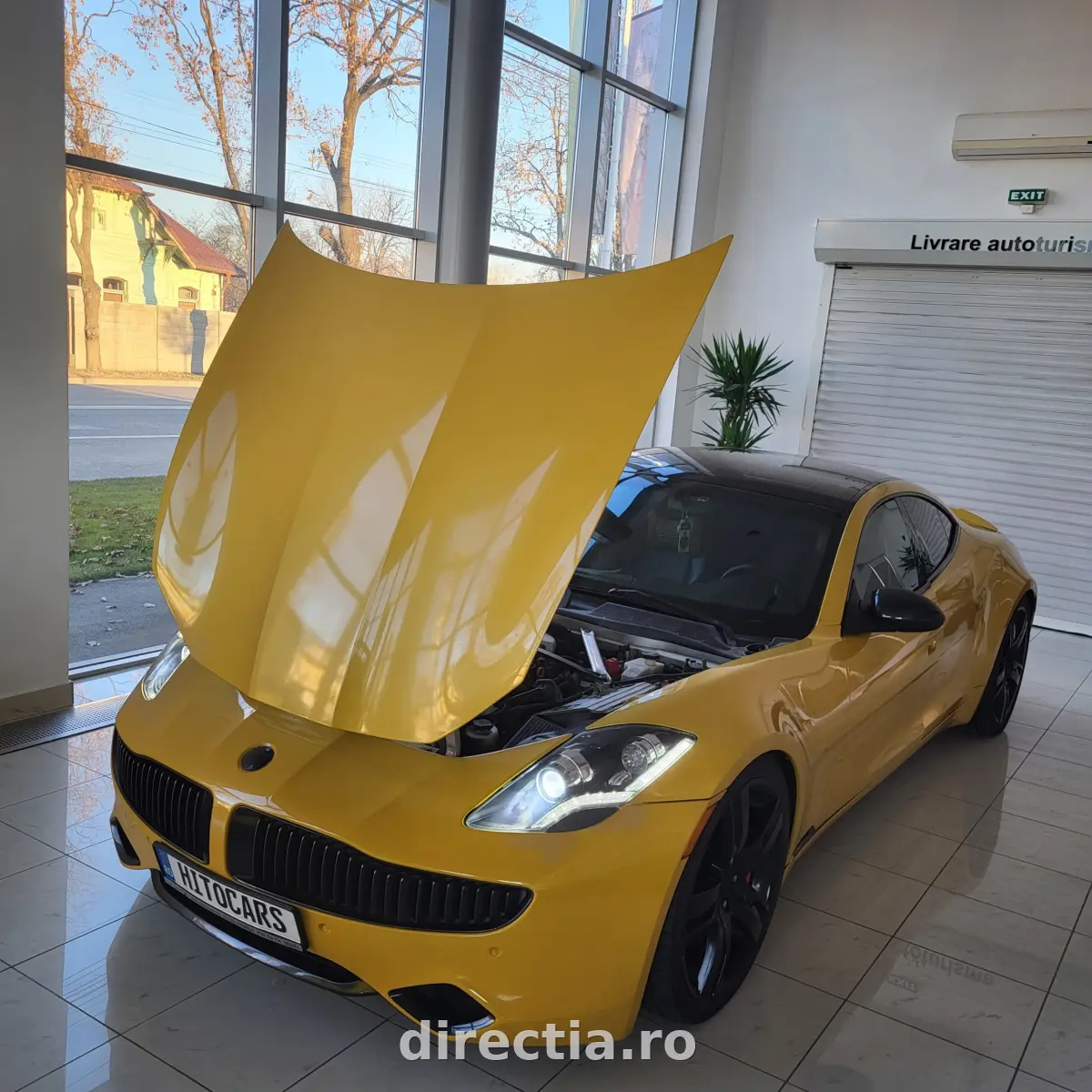 Poza principală