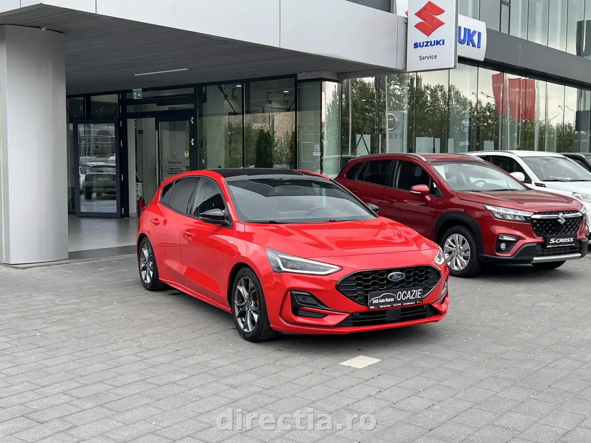 Poza principală
