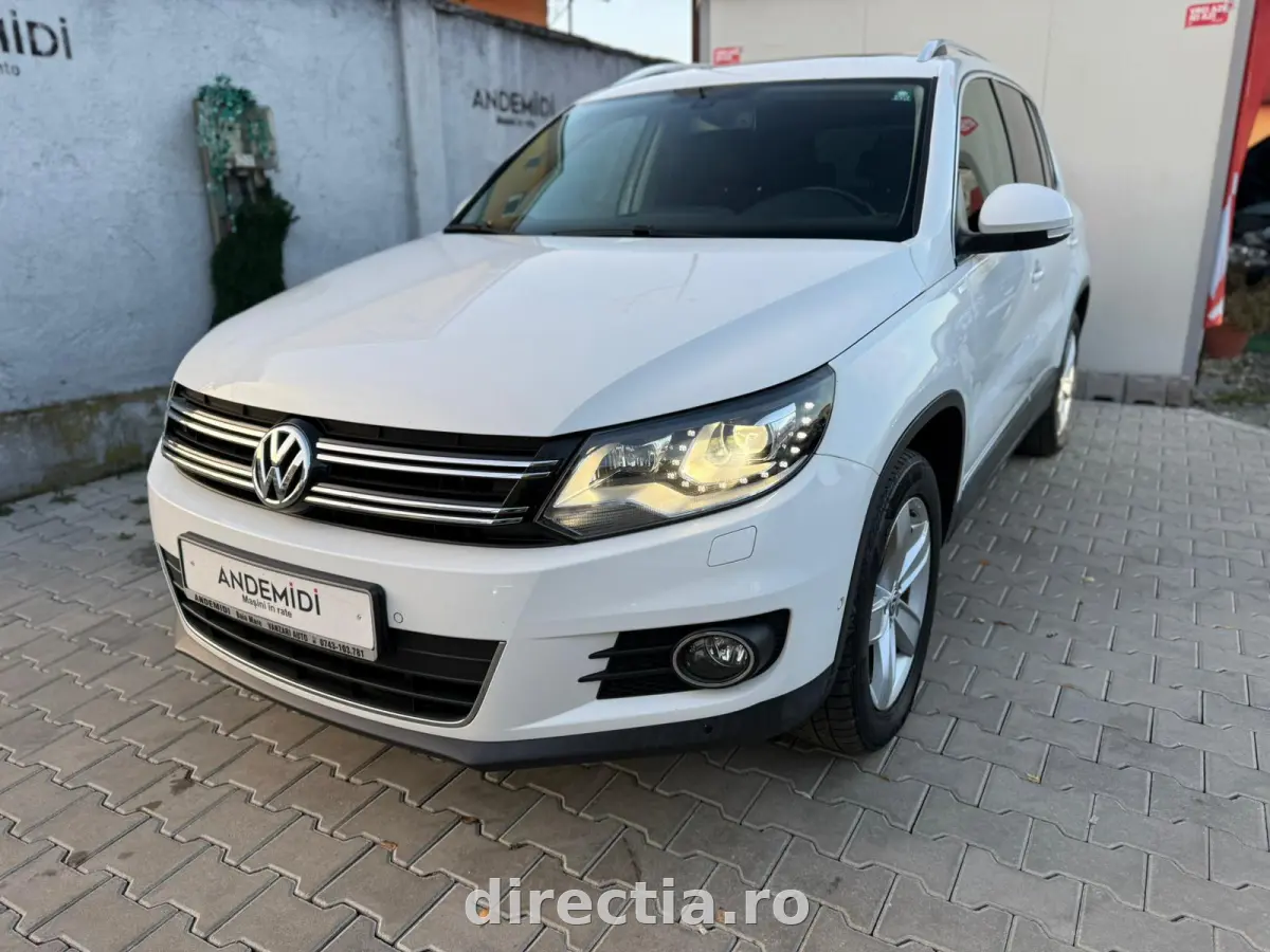 Poza principală