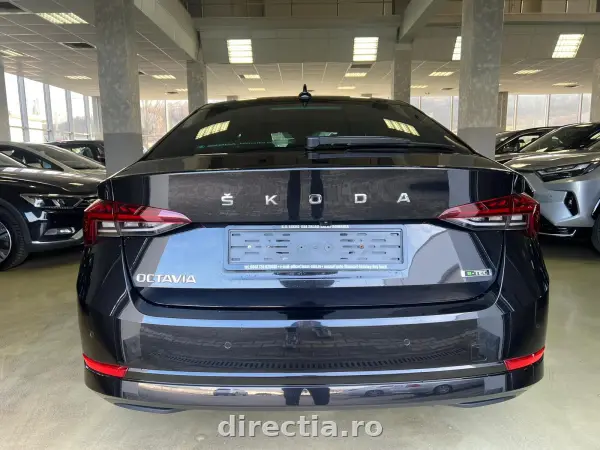 Poza anunț 10
