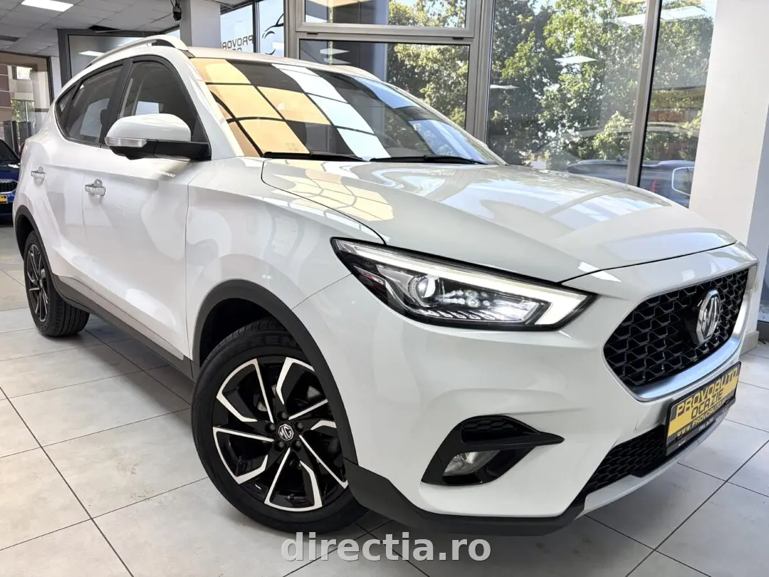 Poza principală