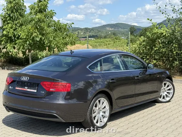 Poza anunț 16