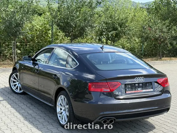 Poza anunț 21
