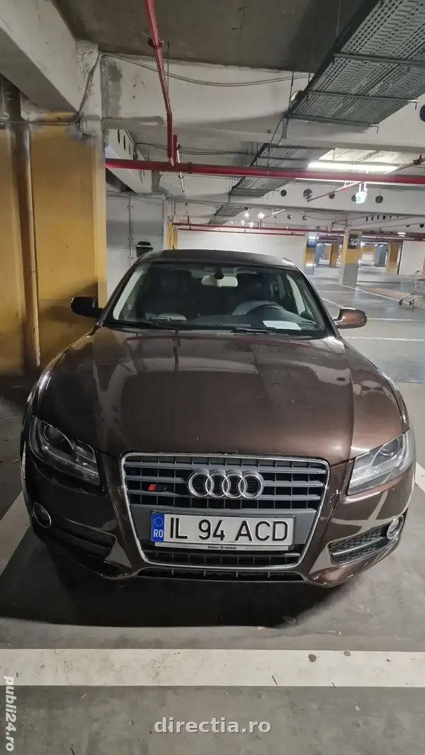Poza principală