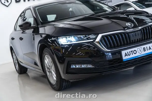 Poza anunț 29