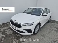 Poza principală