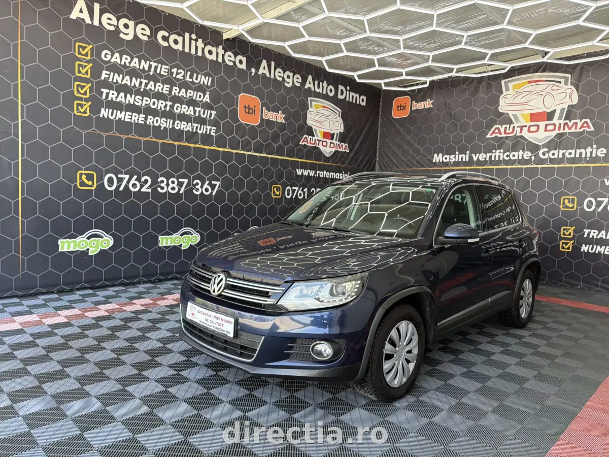 Poza principală