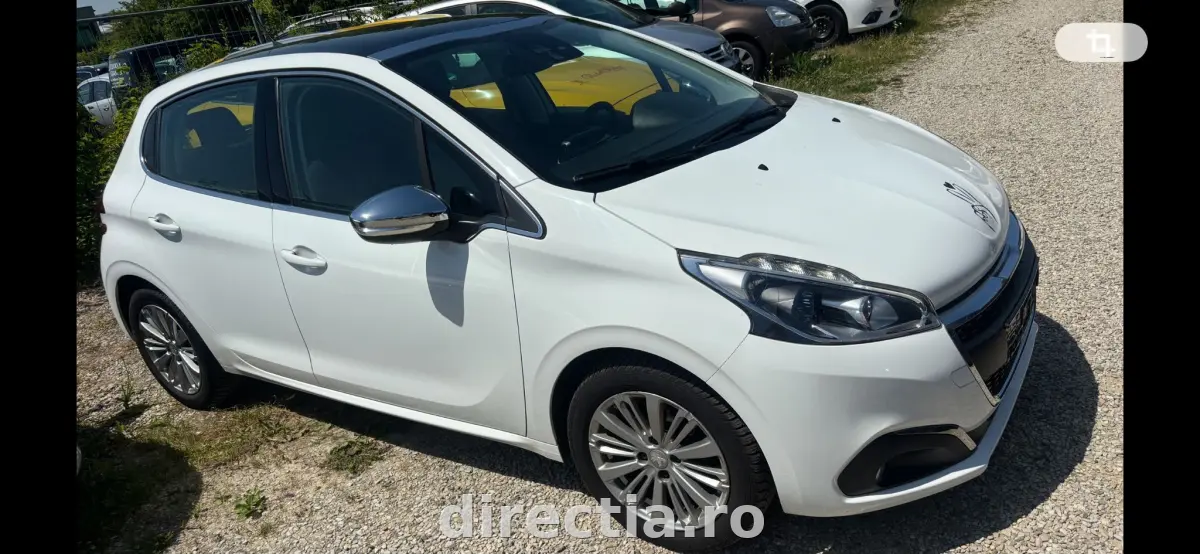 Poza principală