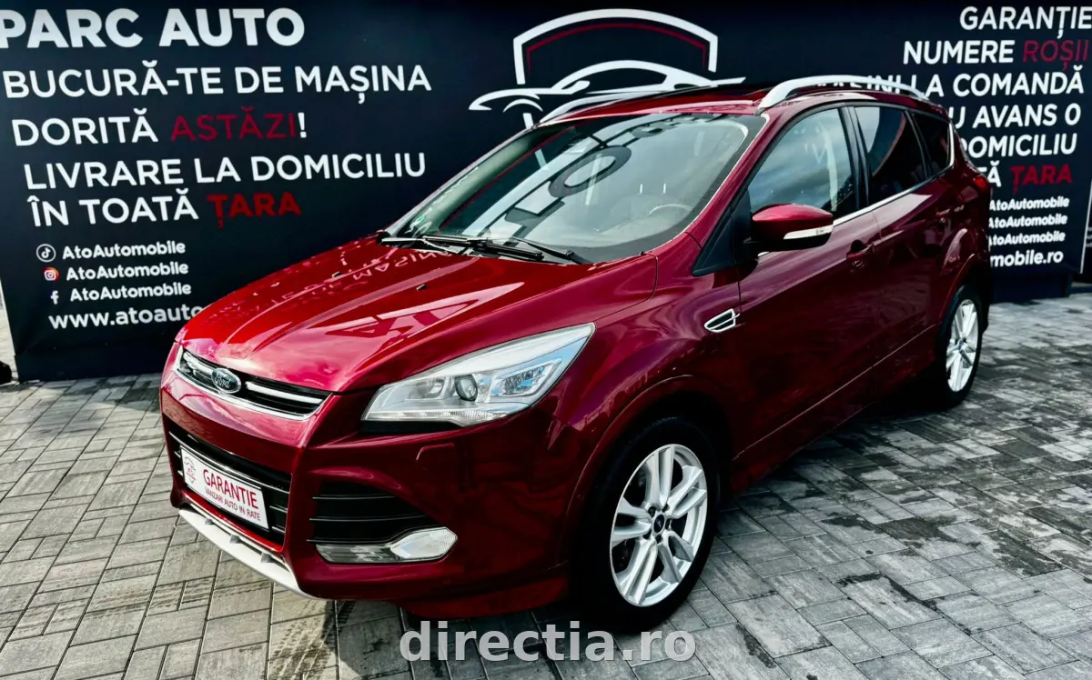 Poza principală