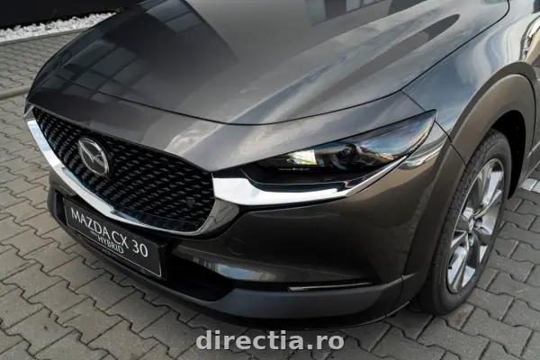 Poza anunț 29