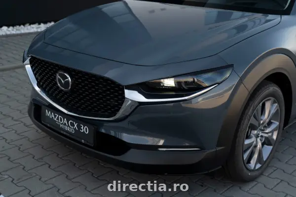 Poza anunț 31