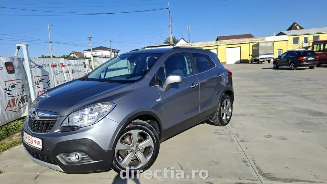 Poza principală