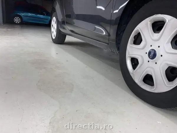 Poza anunț 6