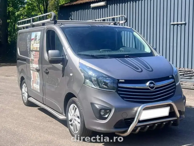 Poza principală