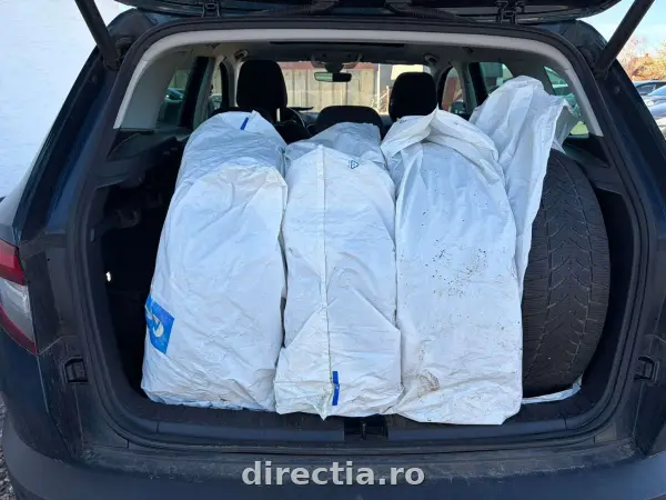Poza anunț 9