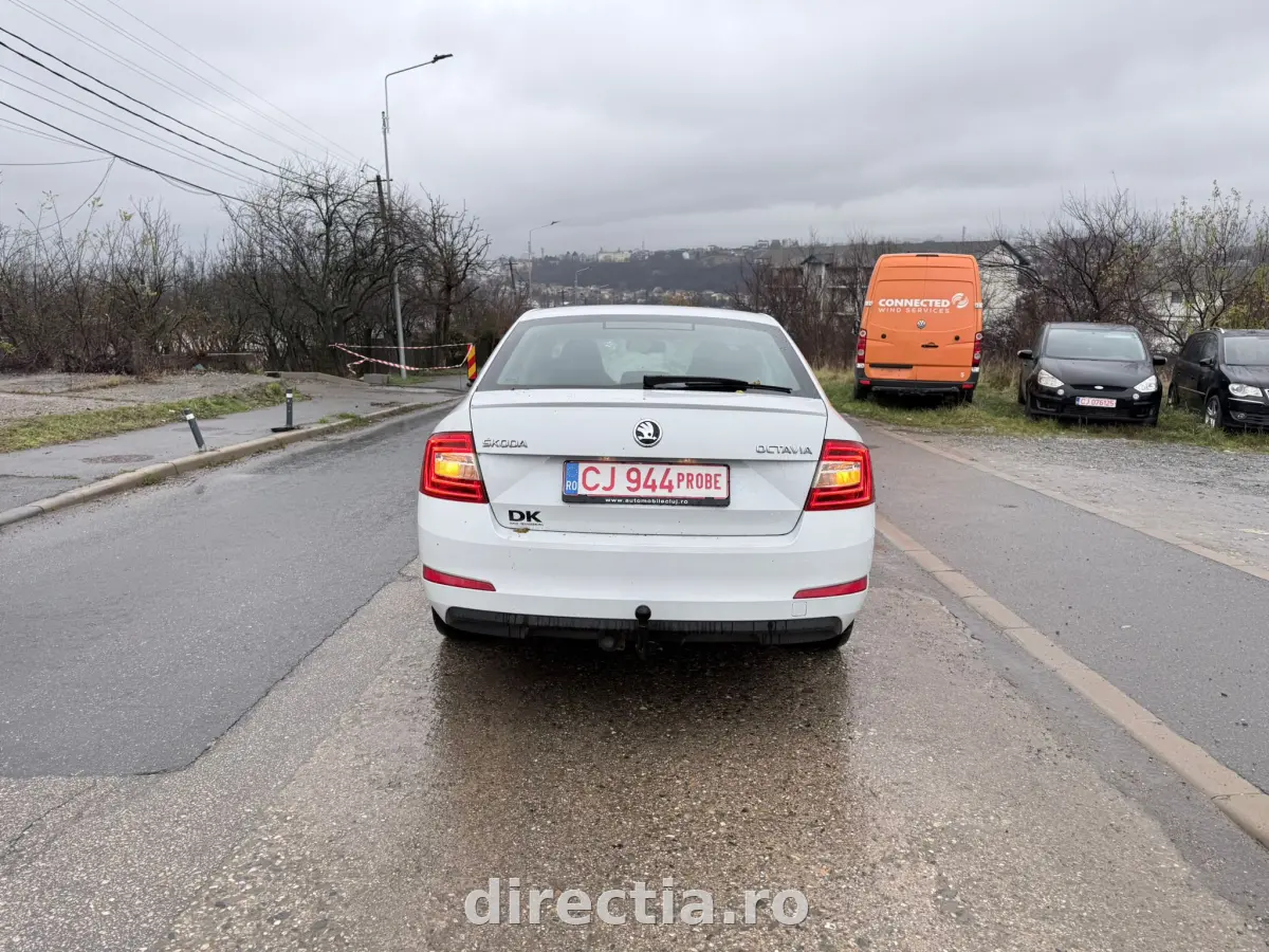 Poza principală