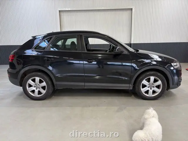 Poza principală