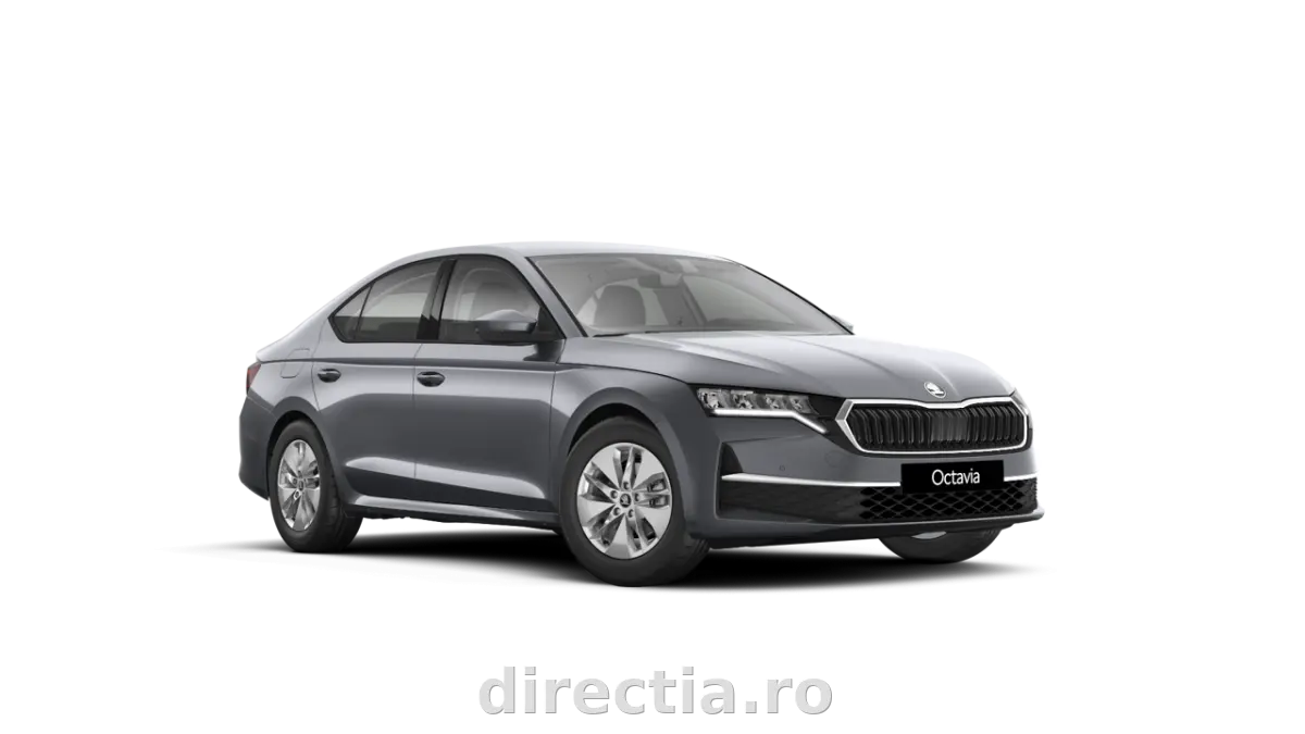 Poza principală