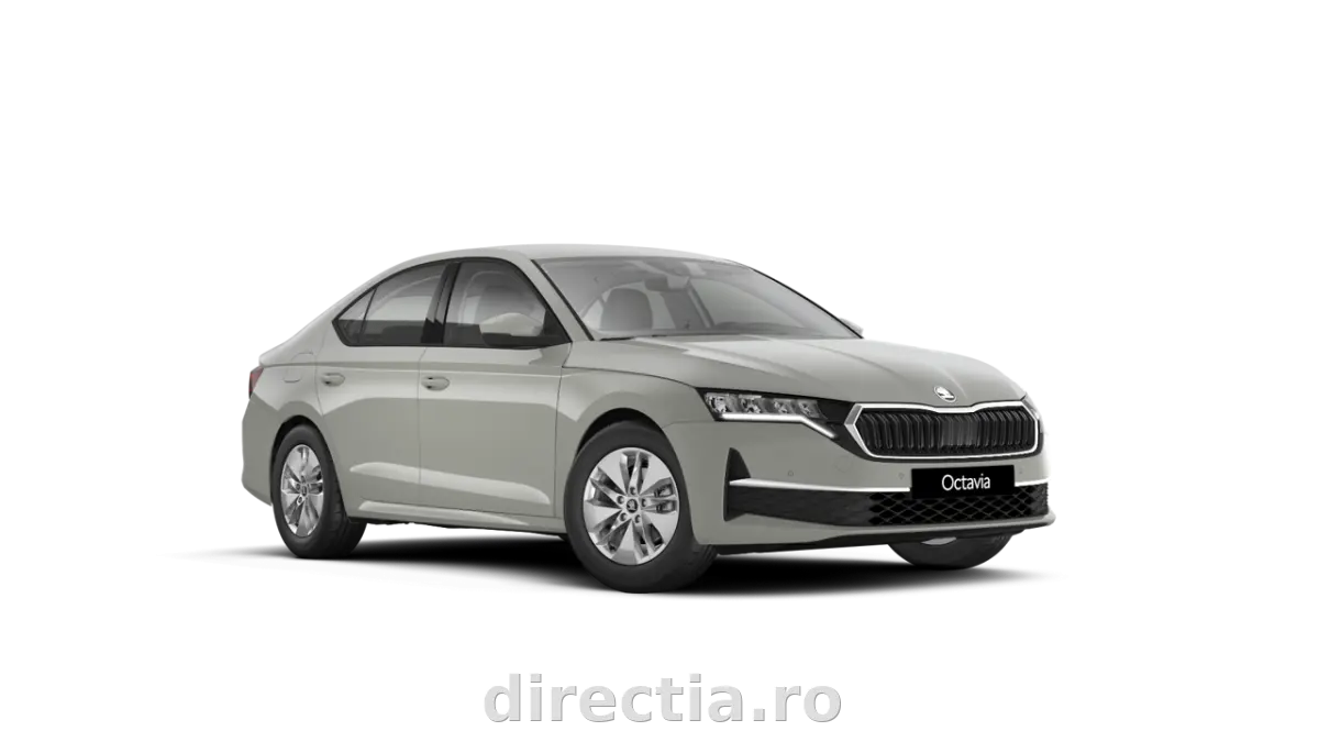 Poza principală