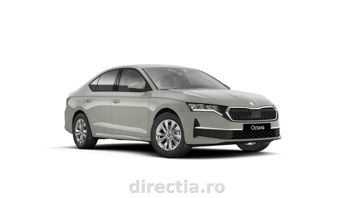 Poza principală