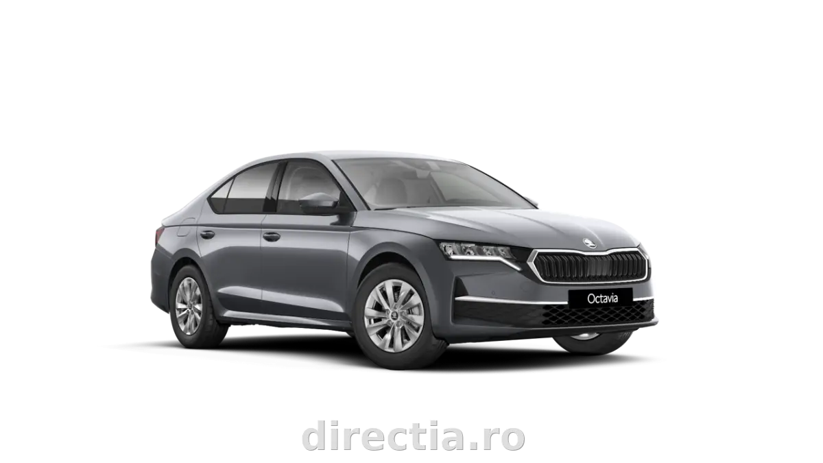 Poza principală