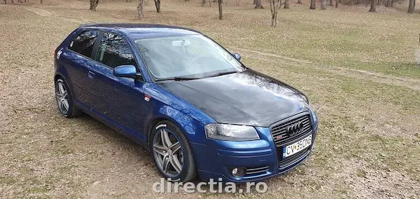 Poza principală