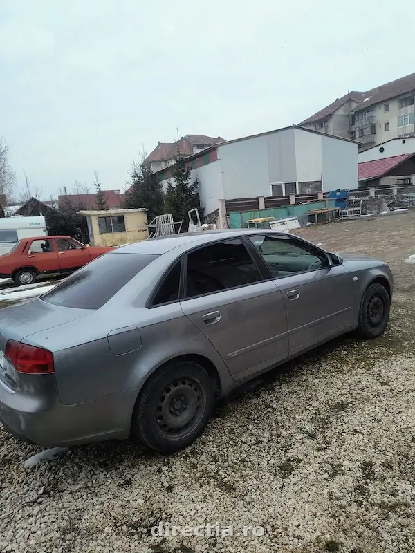 Poza principală