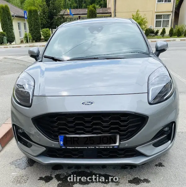Poza principală