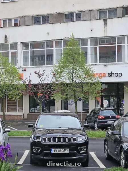 Poza anunț 1